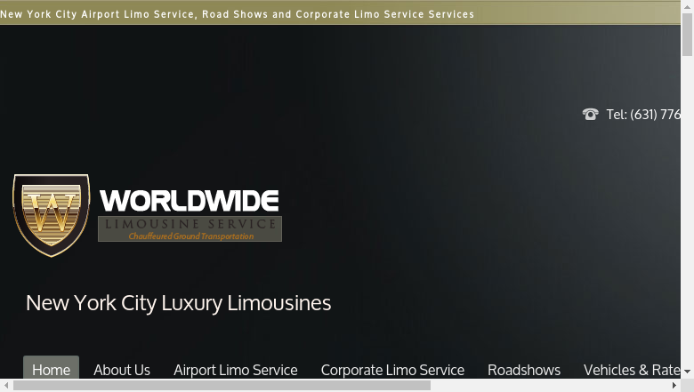 worldwide-limousine-services-inc