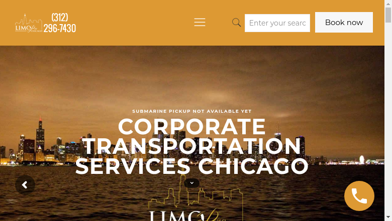 Limo Pro Chicago Inc