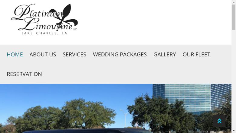 Platinum Limousine, LLC